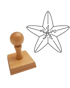 Ausmalstempel Seestern 60 x 60 mm  